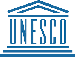 infographics and project development for UNESCO Cameroon